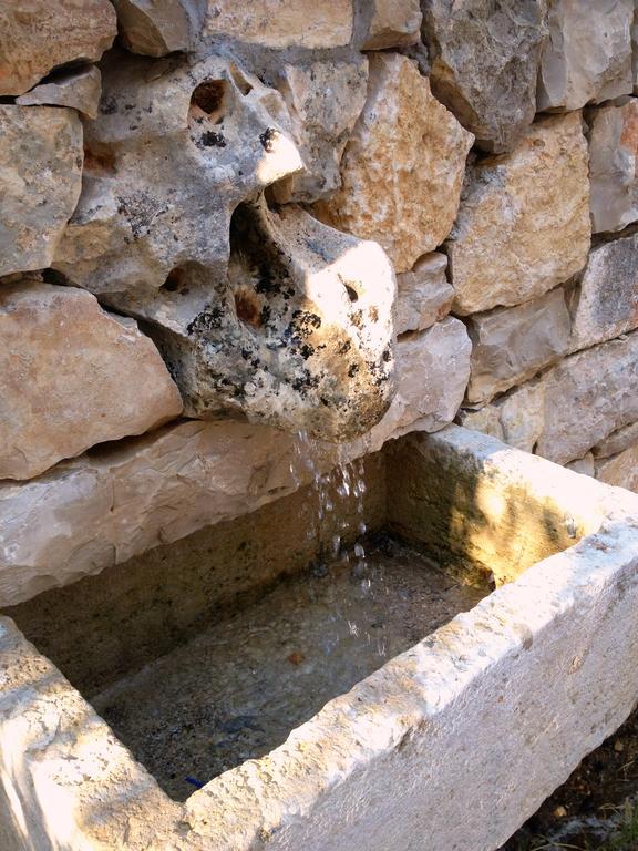 Apartament Lavender House Maslenica Zewnętrze zdjęcie
